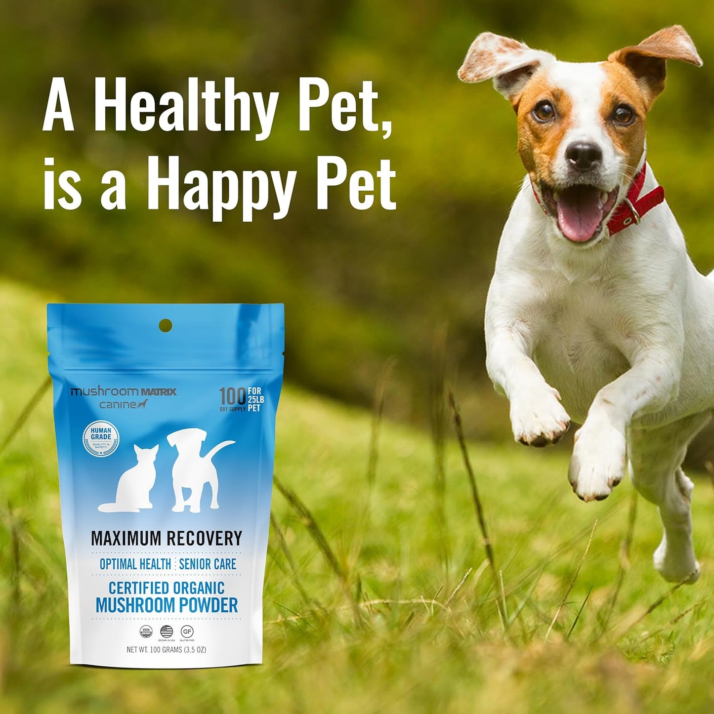 Om Mushroom Matrix Pet - Canine | Maximum Recovery | USA Grown Human-Grade Organic Mushroom Powder Pet Supplement | Optimal Health & Senior Care for Dogs & Cats | 100 Grams, 3.5 oz