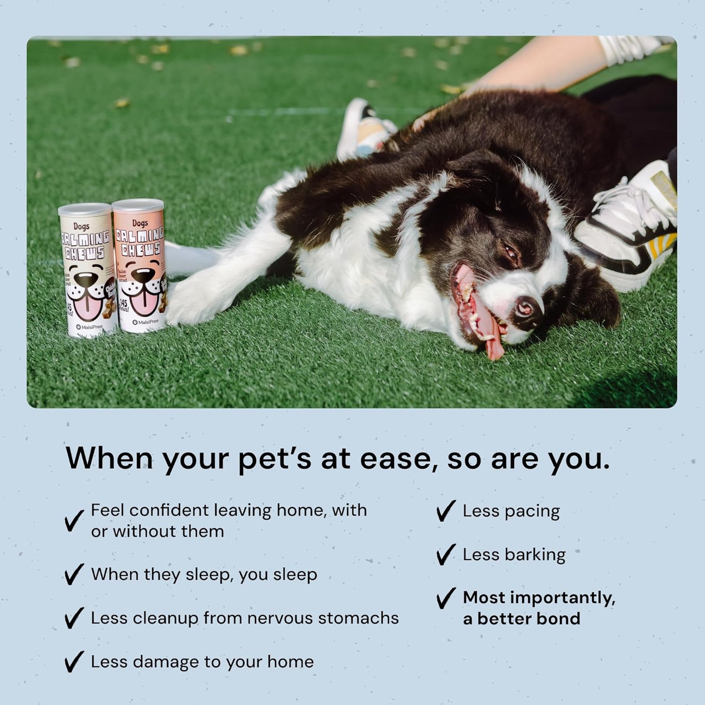 MalsiPree Calming Chews for Dogs - 145 pcs Salmon - Helps Regulate Mood - Anxiety Relief Treats - No Sedative Effect - Freeze Dried - with Passion Flower & Melatonin