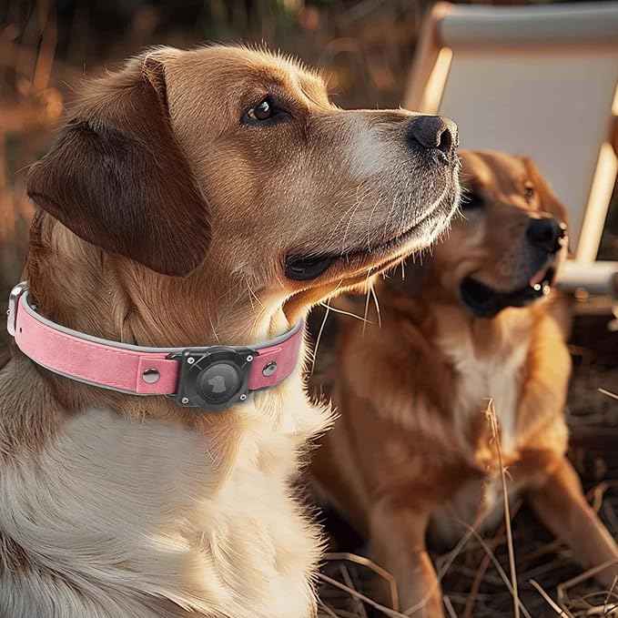 Leather AirTag Dog Collar, Waterproof Dog Collar with Air Tag Holder, Compatible with Apple Air Tag, Reflective, Durable, Comfortable Padded GPS Dogs Collars (Pink, M)