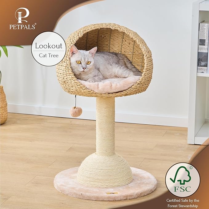 PetPals 2-Level Cat Tree with Handwoven Recycled Paper Rope Baskets, Sisal Scratching Posts, Playful Teaser Toy, Eco-Friendly, Washable Cushion, Cat Furniture (Brown Beige)