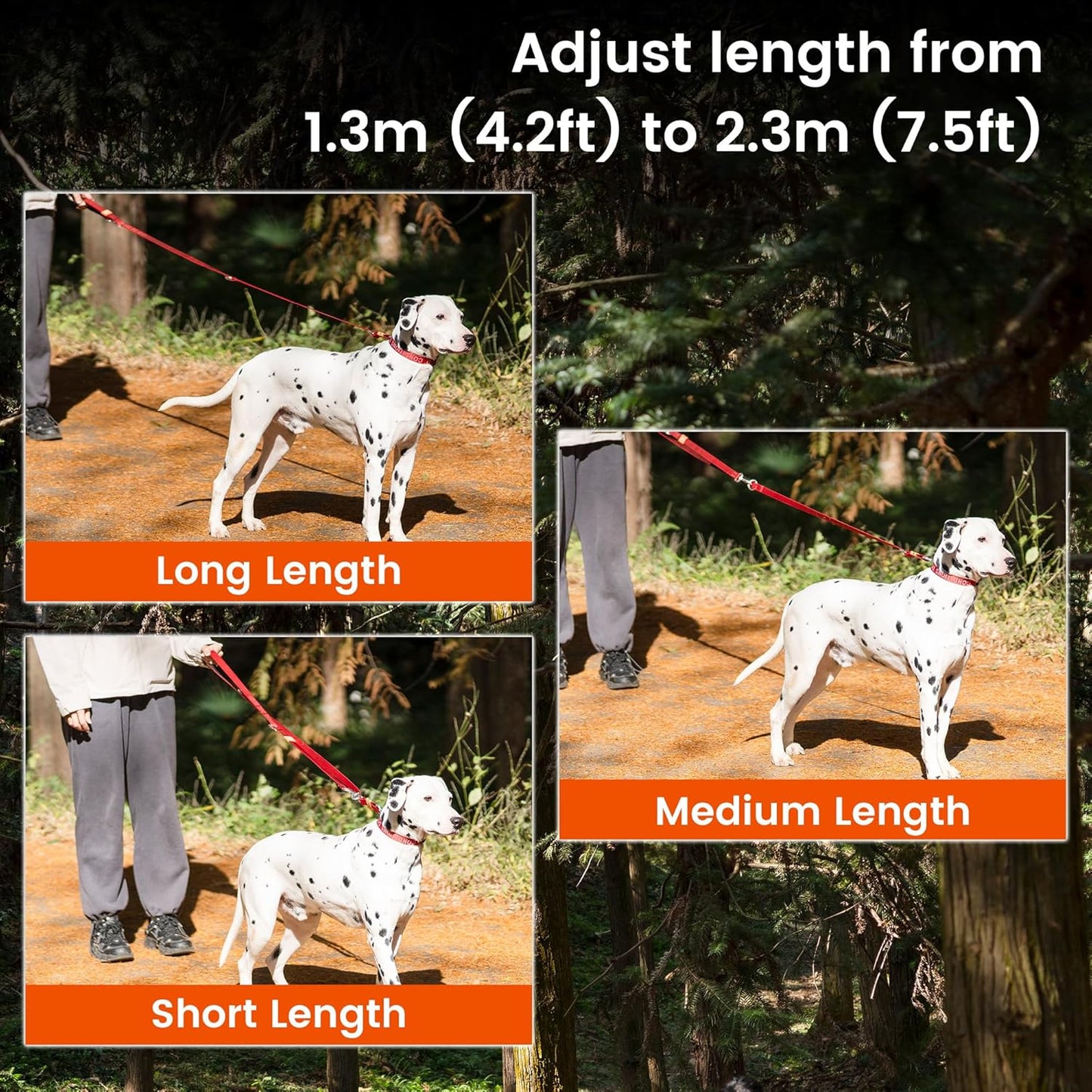 HOWGO 8-in-1 Multifunctional Hands Free Dog Training Leash with Padded Handle, 8.5 FT Nylon Adjustable Length, Lightweight Aviation Aluminum, Crossbody Waist Leash for Puppy Medium Large Dogs (Black)