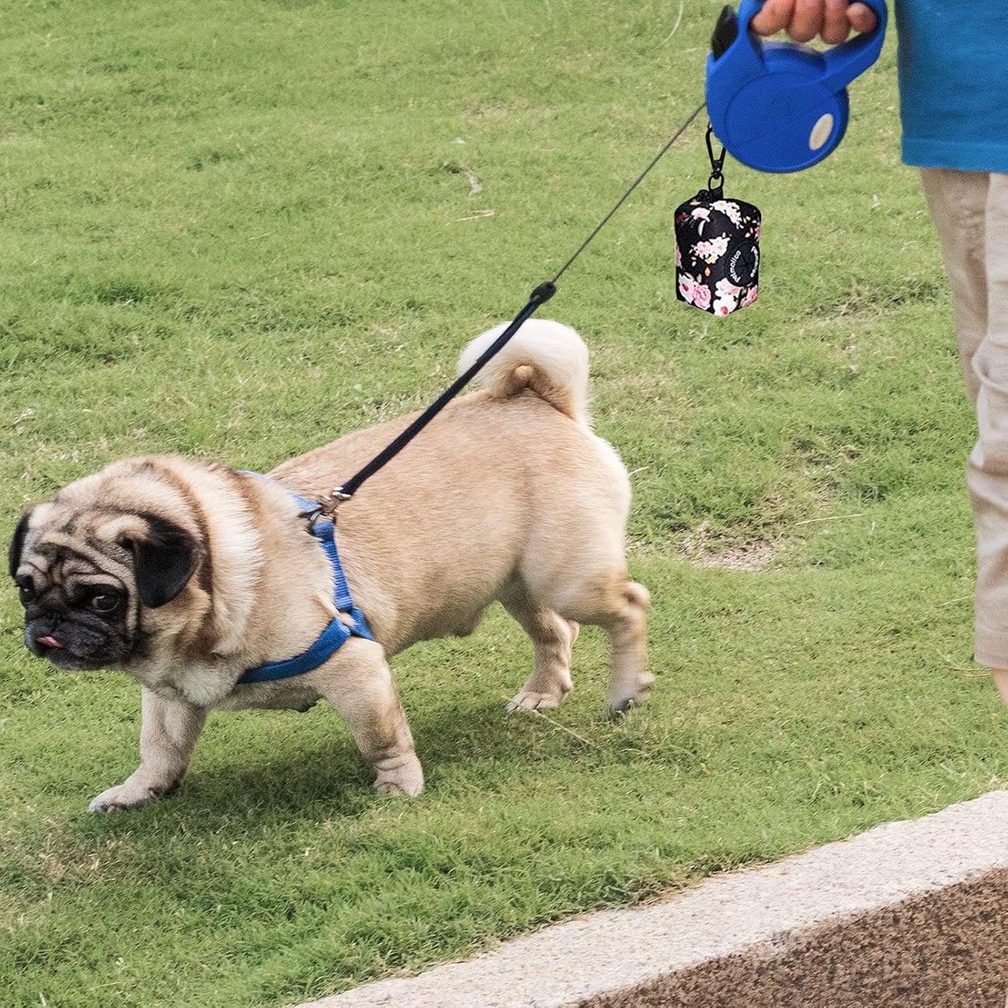 Petmolico Dog Poop Bag Holder Leash Attachment, Dog Waste Bag Dispenser Zippered Pouch, Fits Any Dog Leash, Includes Free Roll of Dog Bags, Poop Bag Dispenser - 2 Pack, Deep Gray