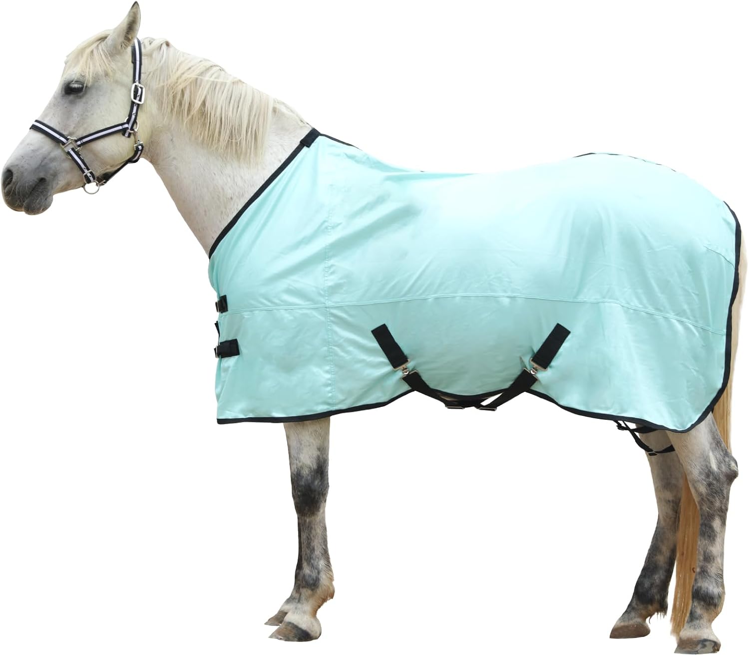 Horse Blankets & Sheets