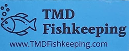 20+ Giant Duckweed (Spirodela polyrhiza) - Lush Live Floating Plant for Aquariums & Ponds - Eco-Friendly Water Purifier & Oxygenator - Easy-Care Aquatic Decor