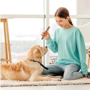Jack&Pup 6" Beef Collagen Sticks | Rawhide Free, Long Lasting Dog Chews | Healthy Single Ingredient Treats for Medium Dogs | Bully Stick Alternative (10 Pack)
