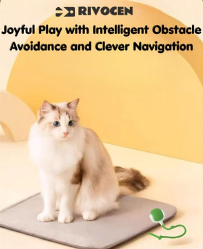 Indoor Cat Interactive Toy 360-degree Automatic Rolling Toy with Floor Flashing and Random Rolling for Cats and Dogs. Continuous Excitement, Fun and Stimulation for Your Cats and Dogs (Green)