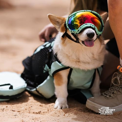 K9 Sport Sack Plus 2 - Small, Summer Mint - Ideal for Dogs 13-16” Long - Adjustable, Backpack-Style Carrier with Multi-Functional Storage Pack, Thick Shoulder Straps & Padded Back Panel