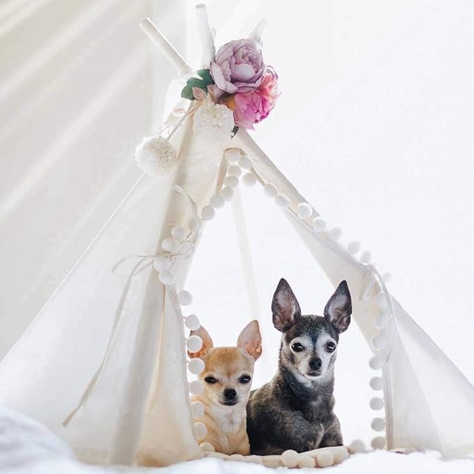 MINICAMP Pet Teepee Bed for Cats – Cozy Cat Beds for Indoor Cats – Luxury Pet House & Hideaway Bed for Cats & Small Animals - Made in EU (Small)