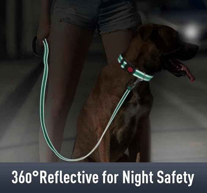 AirTag Dog Collar with AirTag Holder Compatible for Air Tag, Reflective Soft Padded, Safety Locking Buckle, Adjustable Nylon for Small Medium Large Dogs (Teal,S)