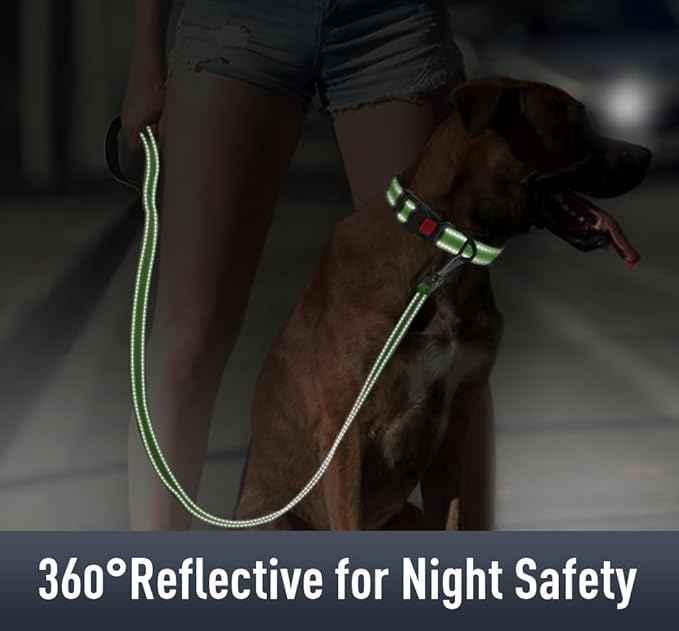 AirTag Dog Collar with AirTag Holder Compatible for Air Tag, Reflective Soft Padded, Safety Locking Buckle, Adjustable Nylon for Small Medium Large Dogs (Green,XS)