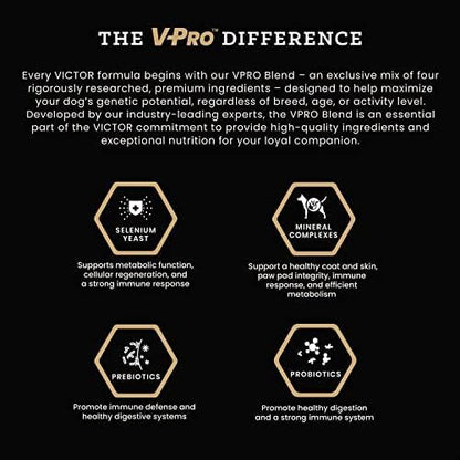 VICTOR Super Premium Dog Food – Performance Dry Dog Food from Beef, Chicken and Pork Meal – 26% Protein for Active Adult Dogs – Includes Glucosamine and Chondroitin for Hip and Joint Health, 40lbs
