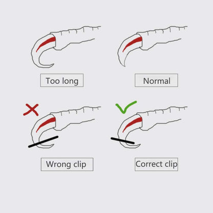 OMEM Bird Nail Clippers with Grinding Nail Scissors Tool Pet Parrot Claw Care (Pink,S)