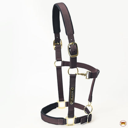 HILASON Western Safety Horse Halter Comfortable and Flexible | Nylon Halters Adjustable Cute