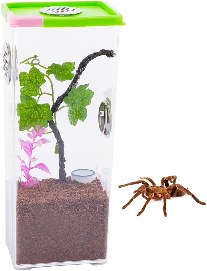 Tarantula Large Breeding Box Reptile Transparent Feeding Box Frog Cricket Snail Hatching Container Insect Habitat Cage(10.1" x 4.1" x 3.1")