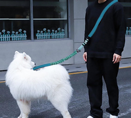 Hands Free Dog Leash for Large Medium Dogs Heavy Duty Bungee Reflective Adjustable Waist Leashes for Walking Running with Car Buckle 4-6FT (Green)