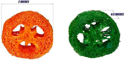 15 Pcs Fruit Flavored Loofah Slices Rabbit Chew Toys Guinea Pig Chew Toys Small Pet Chews Bunny Toys for Teeth Rabbit Toys