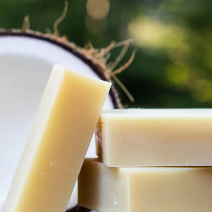 Chagrin Valley Soap & Salve Certified Organic Dog Shampoo and Conditioner – Dog Shampoo Itchy Skin Relief and Puppy Essentials - Natural Handmade Coconut Milk, 3.8 oz Bar