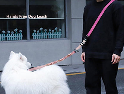 Hands Free Dog Leash for Large Medium Dogs Heavy Duty Bungee Reflective Adjustable Waist Leashes for Walking Running with Car Buckle 4-6FT (Rose)