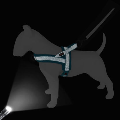 Didog No Pull Dog Harness with Breathable Mesh Padded, Full Reflective & Quick Fit Adjustable Vest Harness, Easy for Training Walking for Small & Medium and Large Dogs (Blue, M:Chest 21-26")