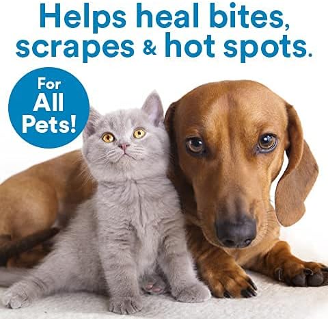 SkinSmart Antimicrobial Wound Care for Pets, Hypochlorous Acid Removes Bacteria to Promote Healing and Relieves Itch, Safe if Licked, 8 Ounce Spray Bottle