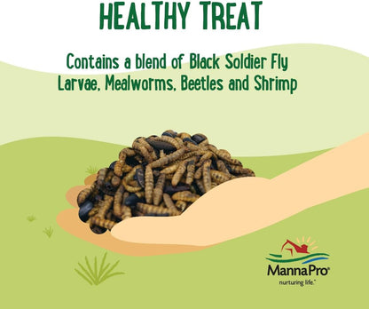 Manna Pro Farmhouse Favorites Quirky Quatro Crunch – 100% Natural Protein Treat for Mixed Flocks – Blend of Black Solider Fly Larvae, Mealworms, Beetles & Shrimp – 2lb