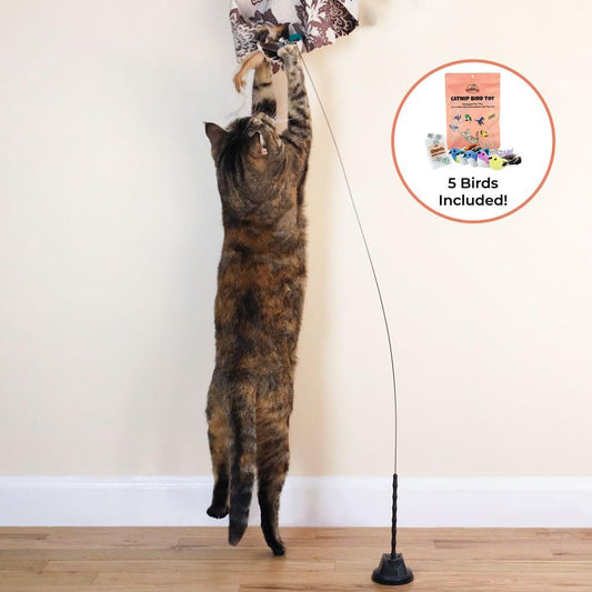 Interactive Catnip Bird Toy Set (5 Replacement Catnip Birds)