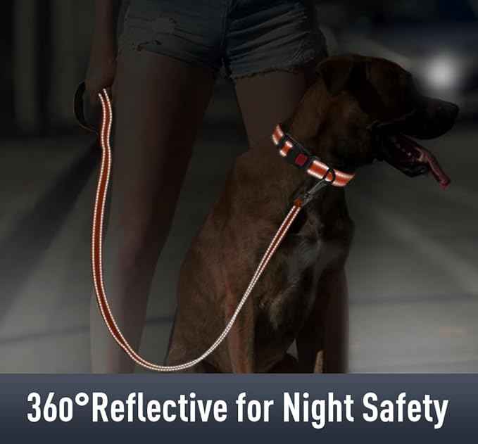 AirTag Dog Collar with AirTag Holder Compatible for Air Tag, Reflective Soft Padded, Safety Locking Buckle, Adjustable Nylon for Small Medium Large Dogs (Orange,L)