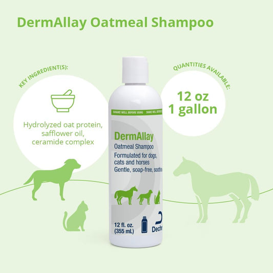 DermAllay Oatmeal Shampoo, 12 Ounce
