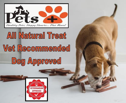 Pets Plus Premium Bart's Bully Sticks for Dogs – 6 Inch, Medium Size, All-Natural, Long-Lasting Chews for Moderate Chewers – High Protein, Low Odor, Grain-Free (5-Pack)
