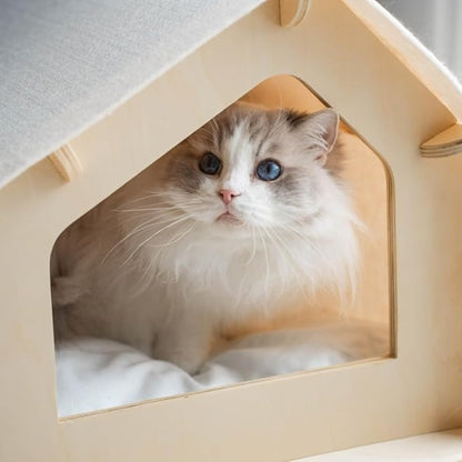 RAWRY Cat House – Covered Indoor Pet Bed with Cushion & Scratcher | Wood Cat Scratcher House for Cats, Kittens, Small Dogs