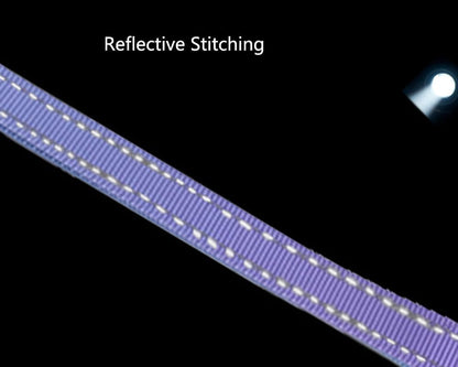 Hands Free Dog Leash for Large Medium Dogs Heavy Duty Bungee Reflective Adjustable Waist Leashes for Walking Running with Car Buckle 4-6FT (Purple)