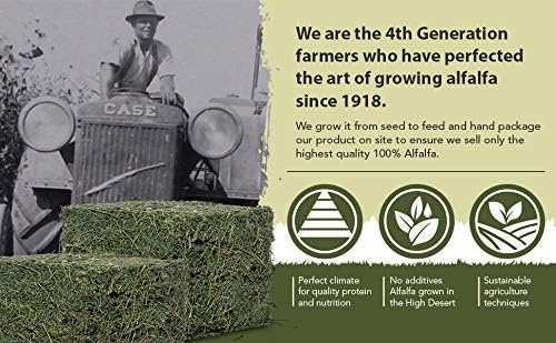 High Desert Alfalfa Hay for Rabbits, Guinea Pigs, Chinchillas & Small Pets – Protein-Rich Natural Hay for Young, Growing Animals – High-Fiber, Hand-Packed, Additive-Free, Grown in USA – 5 lb Box