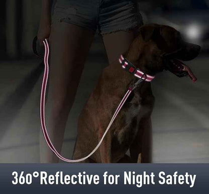 AirTag Dog Collar with AirTag Holder Compatible for Air Tag, Reflective Soft Padded, Safety Locking Buckle, Adjustable Nylon for Small Medium Large Dogs (Hotpink,M)