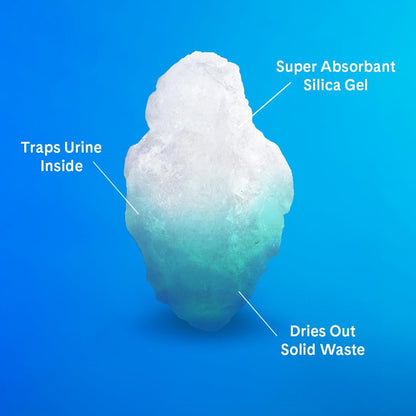 Pretty Litter Health Monitoring Cat Litter, Non-Clumping Crystal Litter, (6LB (Pack of 2), Unscented)