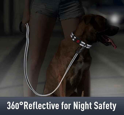 AirTag Dog Collar with AirTag Holder Compatible for Air Tag, Reflective Soft Padded, Safety Locking Buckle, Adjustable Nylon for Small Medium Large Dogs (Grey,XL)