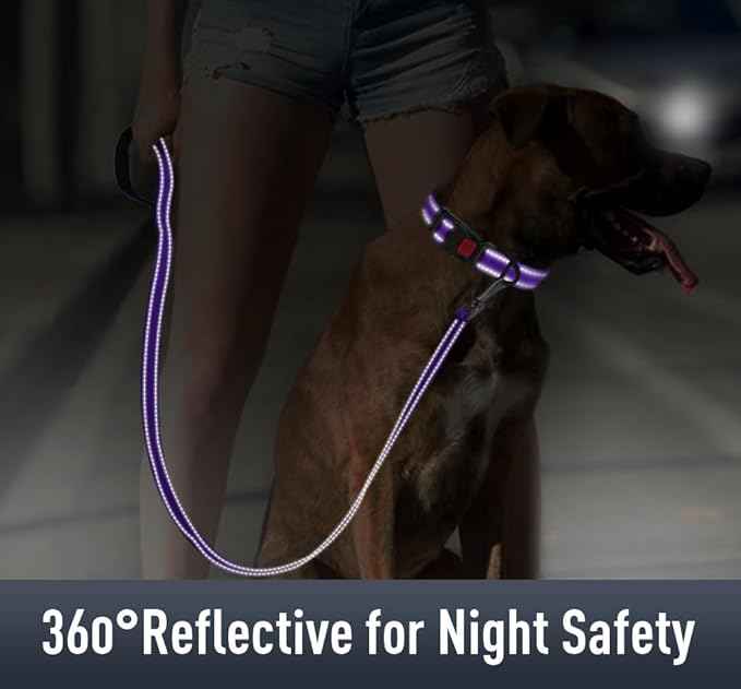 AirTag Dog Collar with AirTag Holder Compatible for Air Tag, Reflective Soft Padded, Safety Locking Buckle, Adjustable Nylon for Small Medium Large Dogs (Purple,XS)