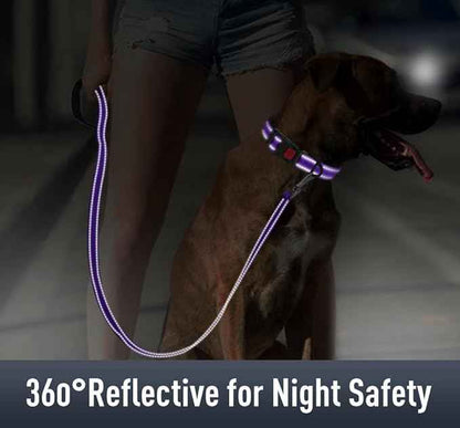 AirTag Dog Collar with AirTag Holder Compatible for Air Tag, Reflective Soft Padded, Safety Locking Buckle, Adjustable Nylon for Small Medium Large Dogs (Purple,XS)