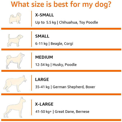 Amazon Basics Cooling Breathable Elevated Dog Bed with Metal Frame for Small Dogs, 36 x 22 x 7.5 Inch, Green