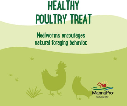Manna Pro Mealworms Poultry Treat - High Protein, 100% Natural, 10oz