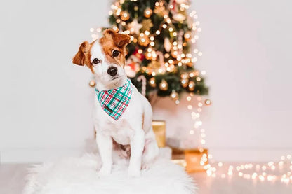 Lionet Paws Christmas Dog Bandana,Fabric Dogs Kerchief for Medium Large Dogs,Dog Cotton Triangle Bibs Scarf for Girl Boy