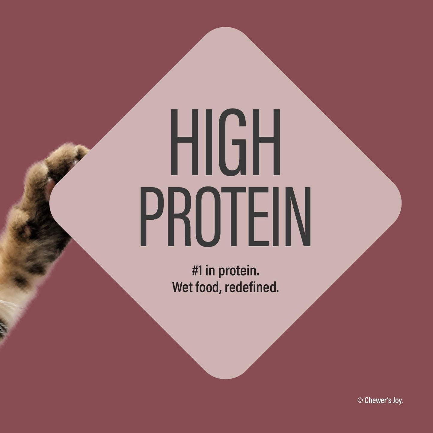 Chewer's Joy Wet Cat Food Variety Pack – 3 Flavors: Tuna & Salmon, Chicken & Turkey – Natural Pâté – High Protein – Grain Free – Complete & Balanced Nutrition – 12 Cans (3 oz)