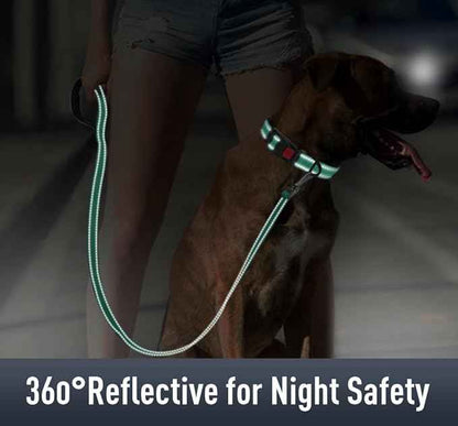 AirTag Dog Collar with AirTag Holder Compatible for Air Tag, Reflective Soft Padded, Safety Locking Buckle, Adjustable Nylon for Small Medium Large Dogs (Teal,L)