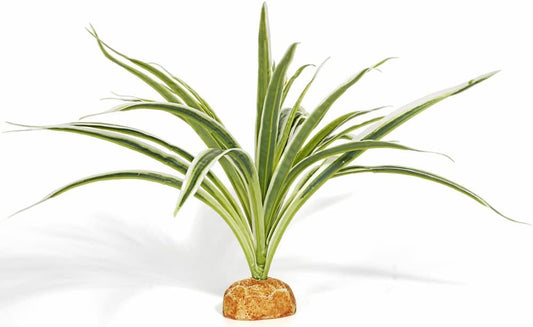 Artificial Spider Plants, Reptile Terrarium Decor, Bearded Dragon Tank Accessories fit Crested Gecko Leopard Lizard Chameleon Ball Python Snake Frog