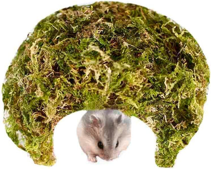 Coconut Hamster Hideout Hamster House Gerbil Cage for Small Animals with a Bundle of Apple Sticks a Carrot (Green)