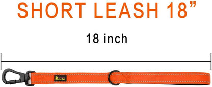 PLUTUS PET Short Training Dog Leash with Padded Handle for Medium Large Big Dogs,18 Inch Heavy Duty Strong Traffic Dog Leash with Carabiner Clip for Climbing Walking or Guiding Blind（18”，Orange