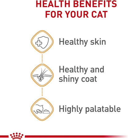 Royal Canin Feline Care Nutrition Hair & Skin Care Thin Slices in Gravy Canned Cat Food, 3 Ounce (Pack of 24)