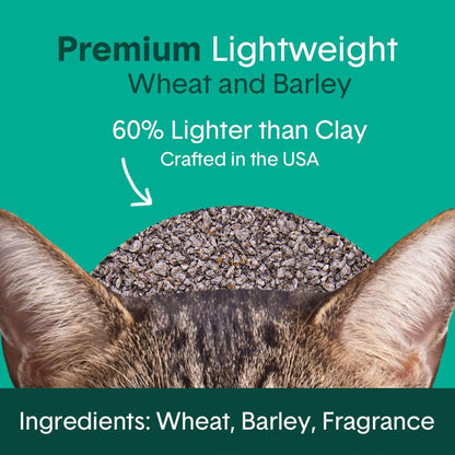Boxie Gently Scented Cat Litter, Lightweight 30-Day Odor Control, Clumping, 6.5lb
