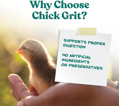 Manna Pro Chick Grit Digestive Supplement for Young Growing Poultry & Bantam Breeds, No Artificial Ingredients or Preservatives, Natural Supplement with Insoluble Crushed Granite, 5 lbs