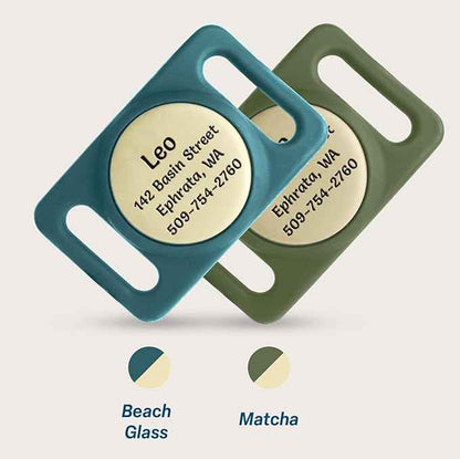 GoTags Designed for Airtag Engraved Dog Collar Holder, Personalized Case for Pet Collar, Up to 4 Lines of Custom Text, Slide On Tag for GPS Dog Tracker, Compatible with Apple iPhone (Large Pack of 1)