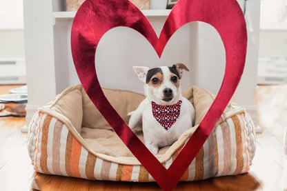 Lionet Paws Valentine Dog Bandana for Small Medium Dogs,Pink Hearts Black Kerchief Washable Dog Triangle Bibs Scarf for Girl or Boy Gift